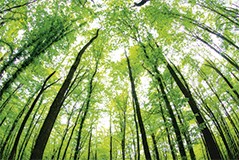 FSC zertifizierte Druckerei